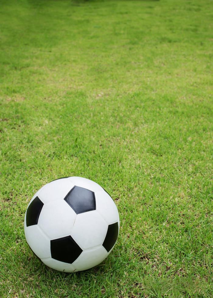 专业篮球比分表格分析界面